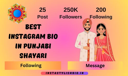 Best Instagram Bio In Punjabi Shayari