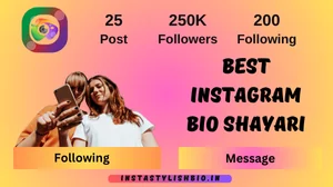 Best Instagram Bio Shayari