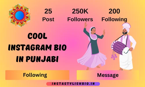 Cool Instagram Bio In Punjabi