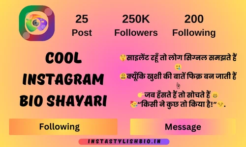 Cool Instagram Bio Shayari