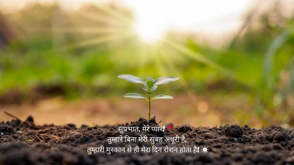 Good Morning Love Quotes In Hindi