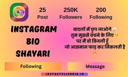 Best Instagram Bio Shayari