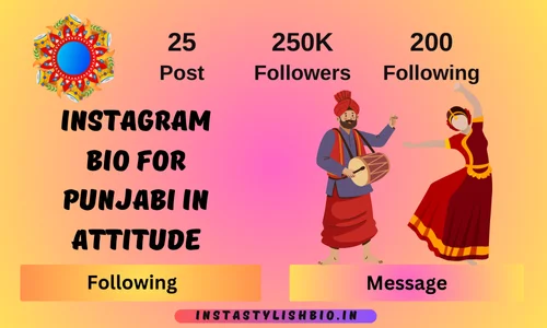 Instagram Bio for Punjabi In Attitude